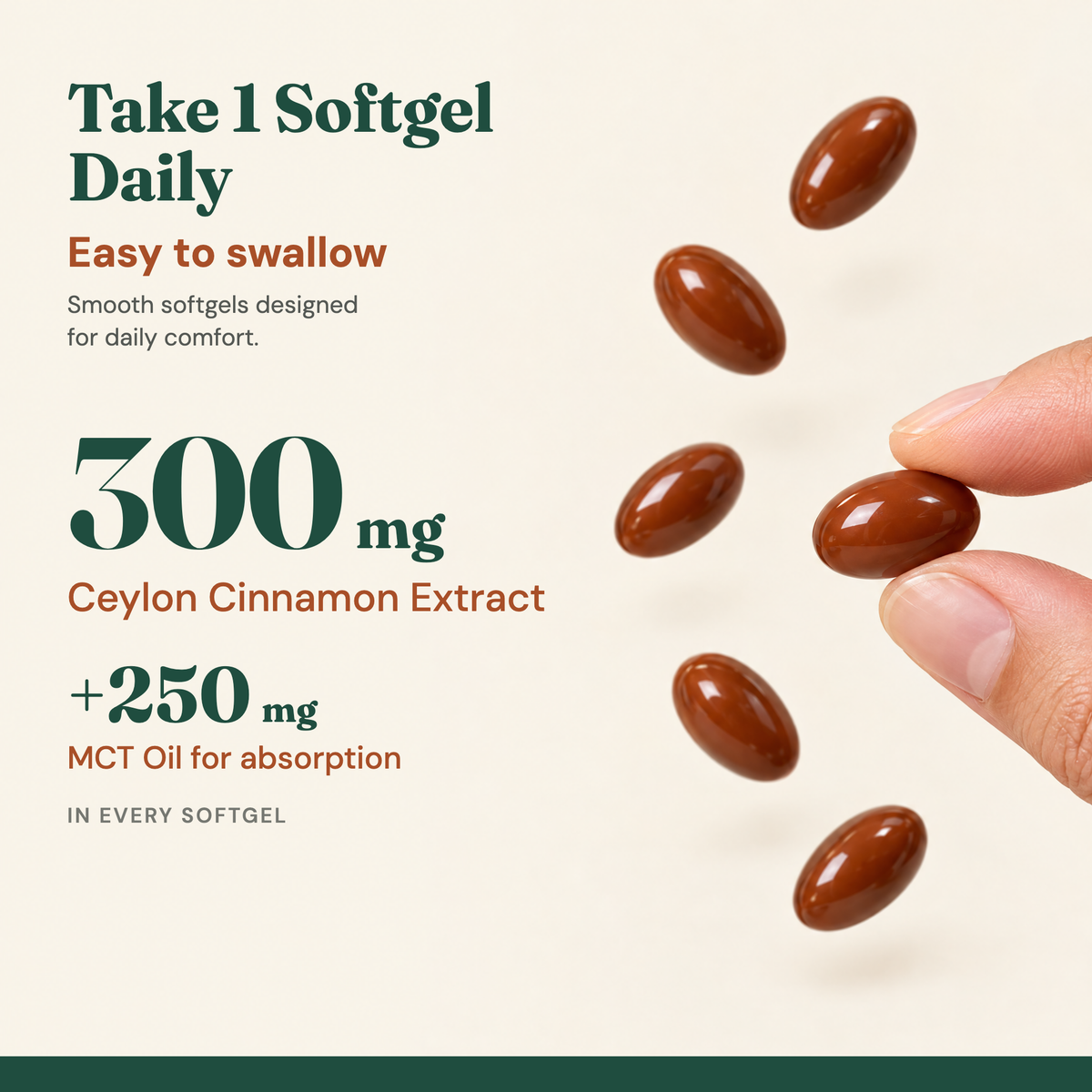 Evenwell True Ceylon Cinnamon